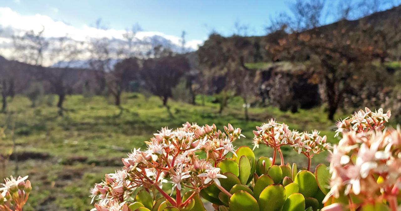 Cortijo Aguacha Villa Bayacas Exteriör bild