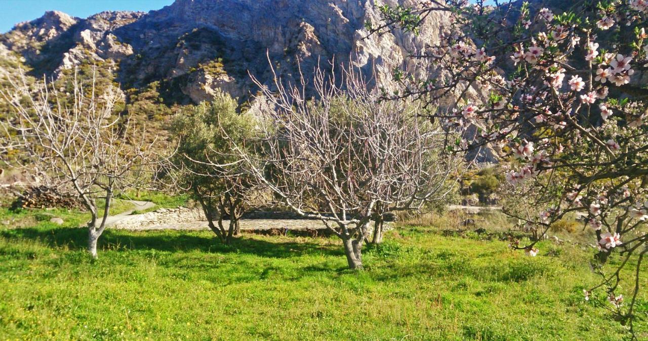 Cortijo Aguacha Villa Bayacas Exteriör bild