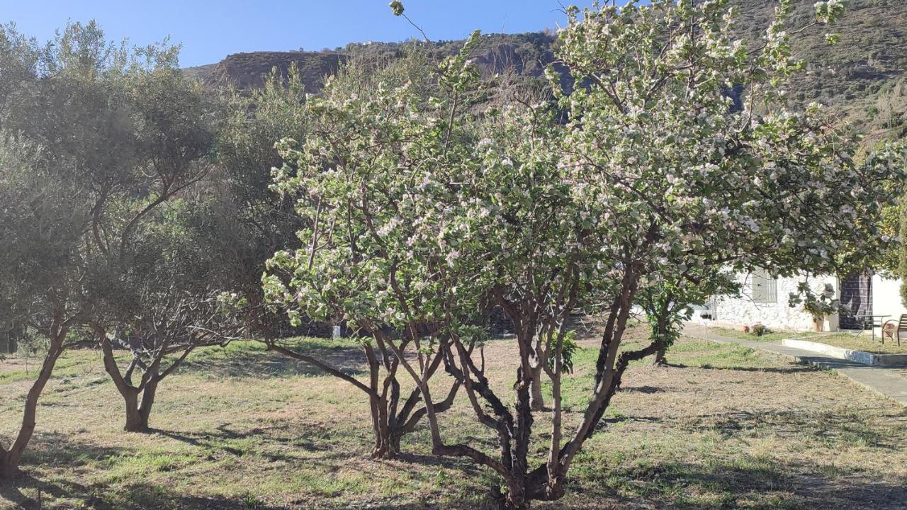 Cortijo Aguacha Villa Bayacas Exteriör bild
